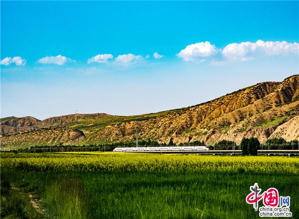 甘肃民乐：雪域花怒放 风吹满城香(图6)