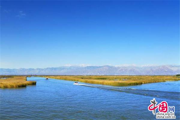 目之所及皆是风景 这个春天去宁夏沙湖观百鸟(图1)