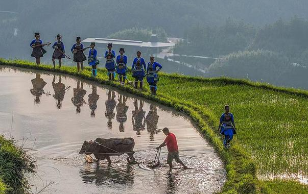 一路黔行：探秘贵州大山深处的有机小镇