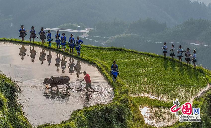 一路黔行：探秘贵州大山深处的有机小镇(图3)