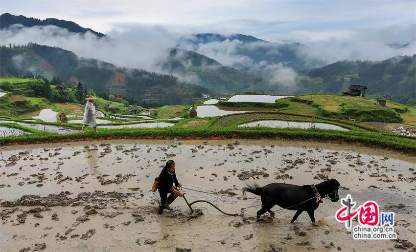 一路黔行：探秘贵州大山深处的有机小镇(图2)