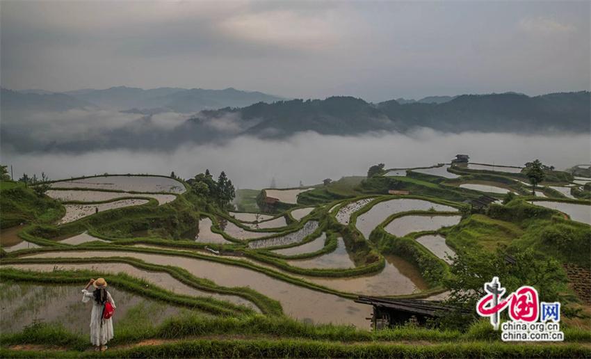 一路黔行：探秘贵州大山深处的有机小镇(图13)