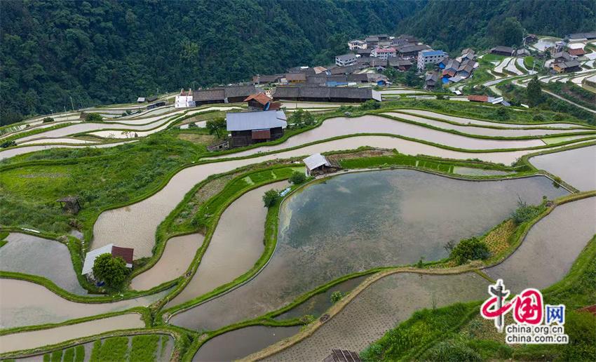 一路黔行：探秘贵州大山深处的有机小镇(图15)