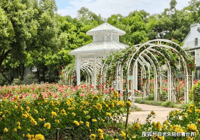 文章配图-1
