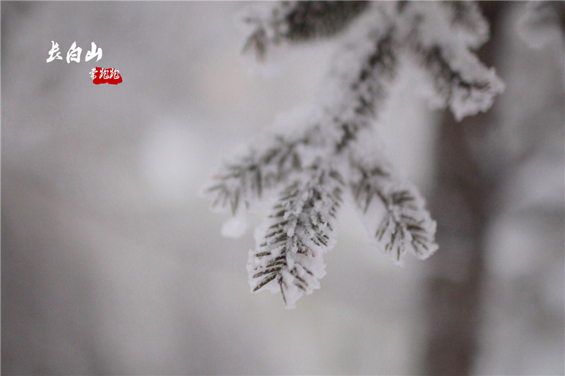 在零下30°的长白山 玩雪泡温泉是怎样一种体验(图13)